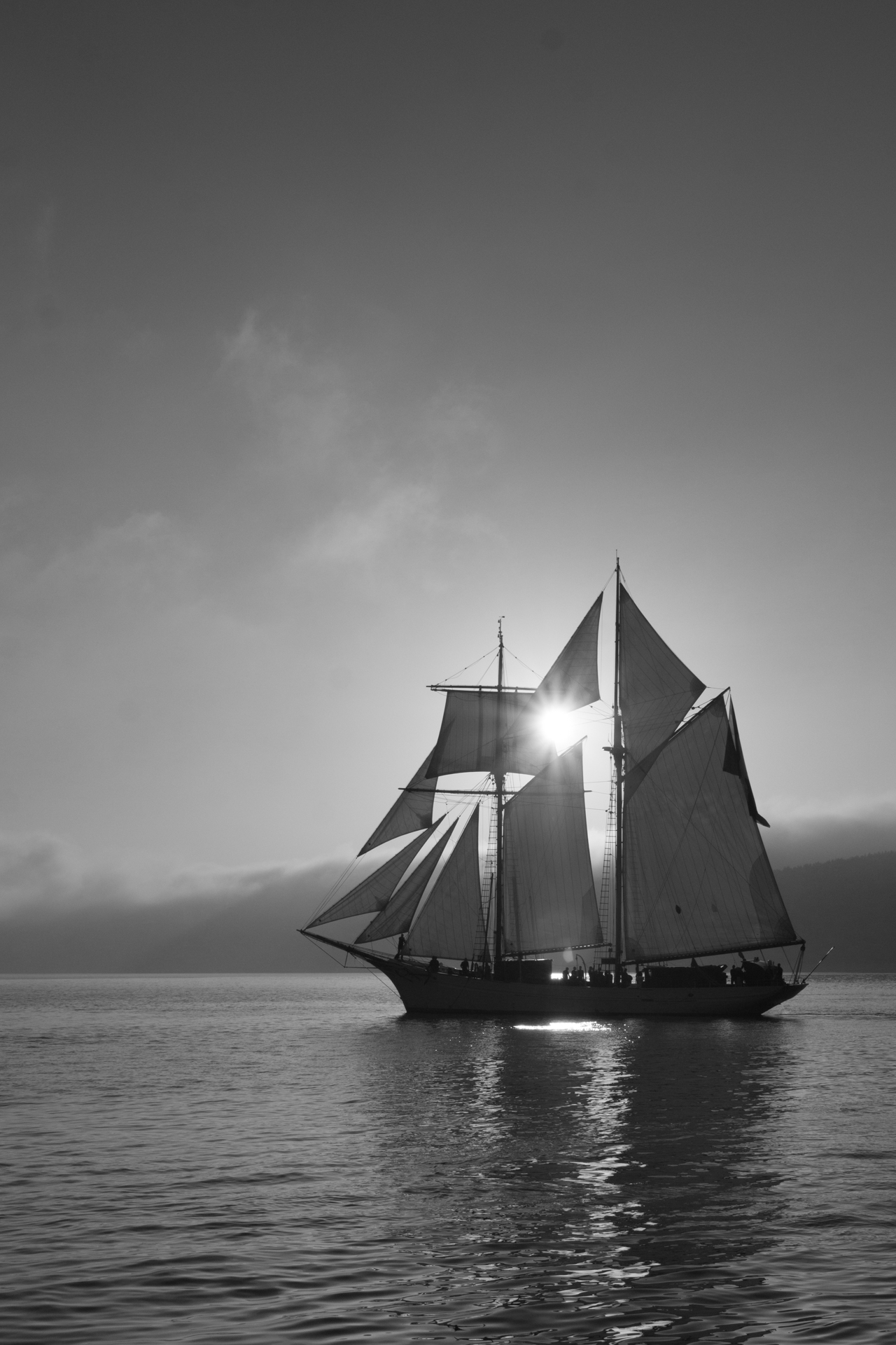 L' Oeil Noir Photographe